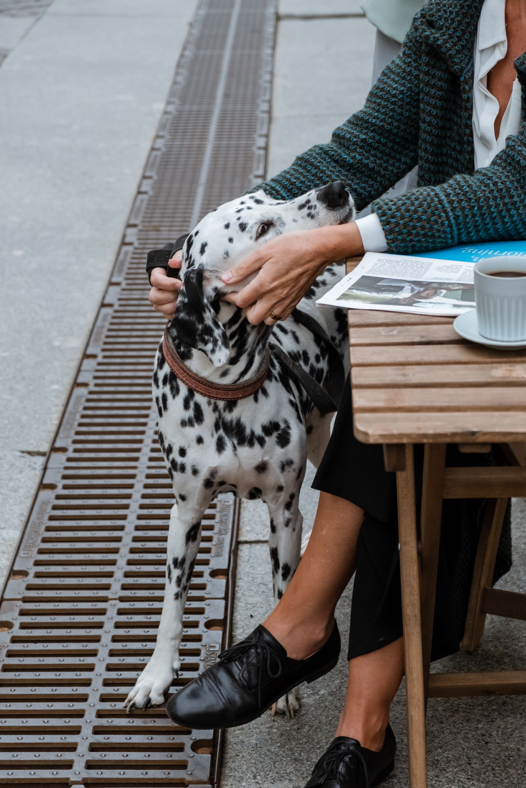 A Dalmatian enjoys a cozy moment at an outdoor cafe with its owner reading a newspaper.